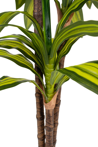 Dracaena artificiala cintho cu 54 frunze H120cm