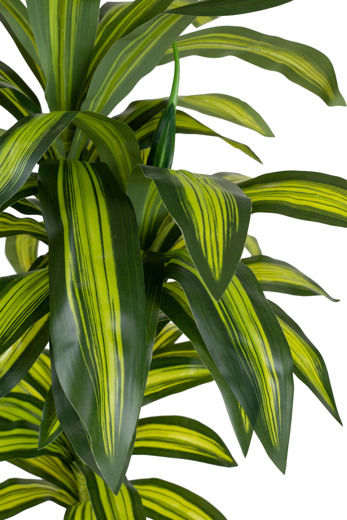 Dracaena artificiala cintho cu 54 frunze H120cm