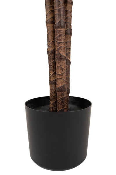 Dracaena artificiala cintho cu 54 frunze H120cm
