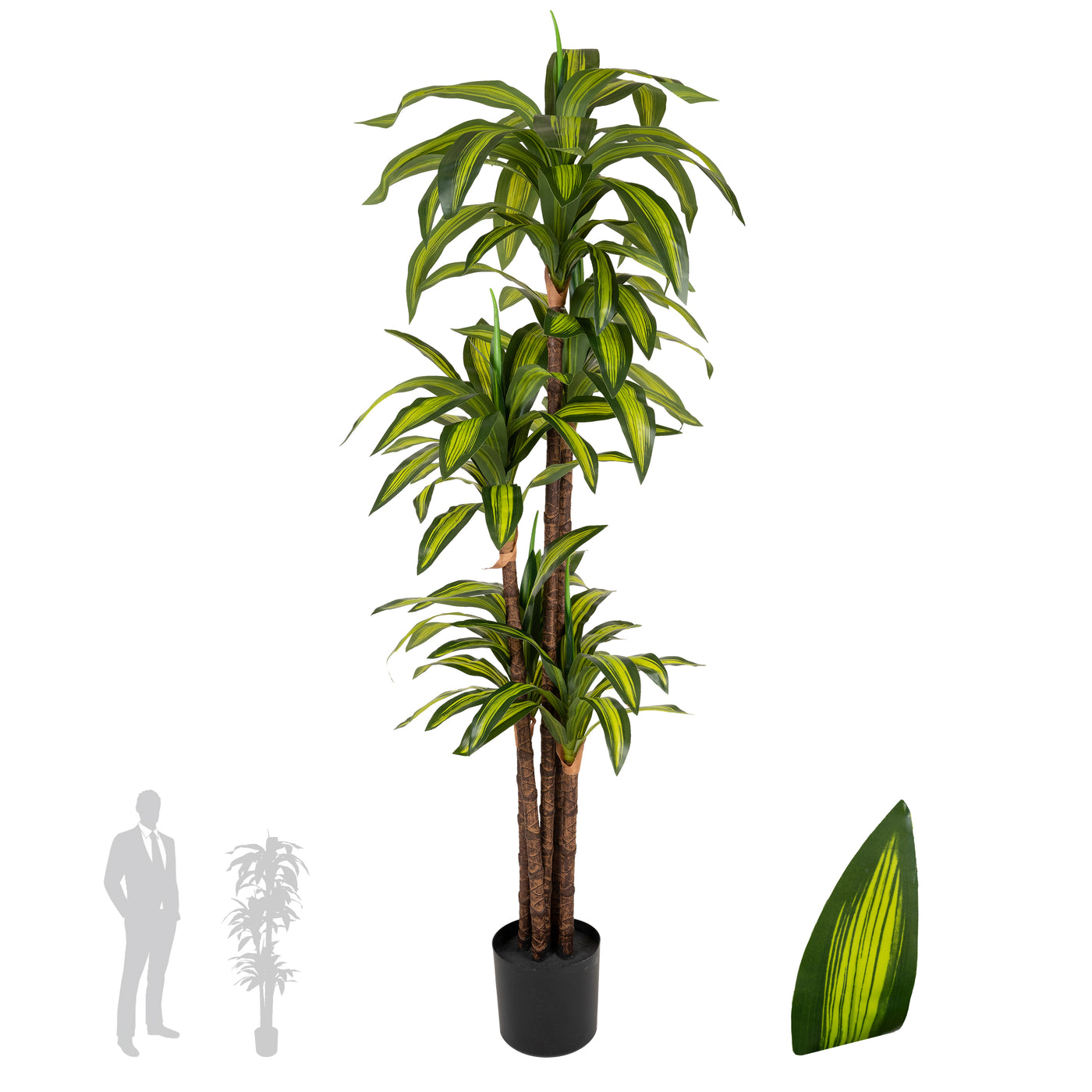 Dracaena artificiala cintho cu 97 frunze H150cm