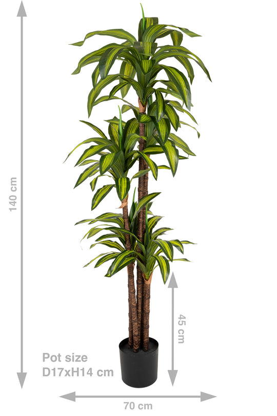 Dracaena artificiala cintho cu 97 frunze H150cm