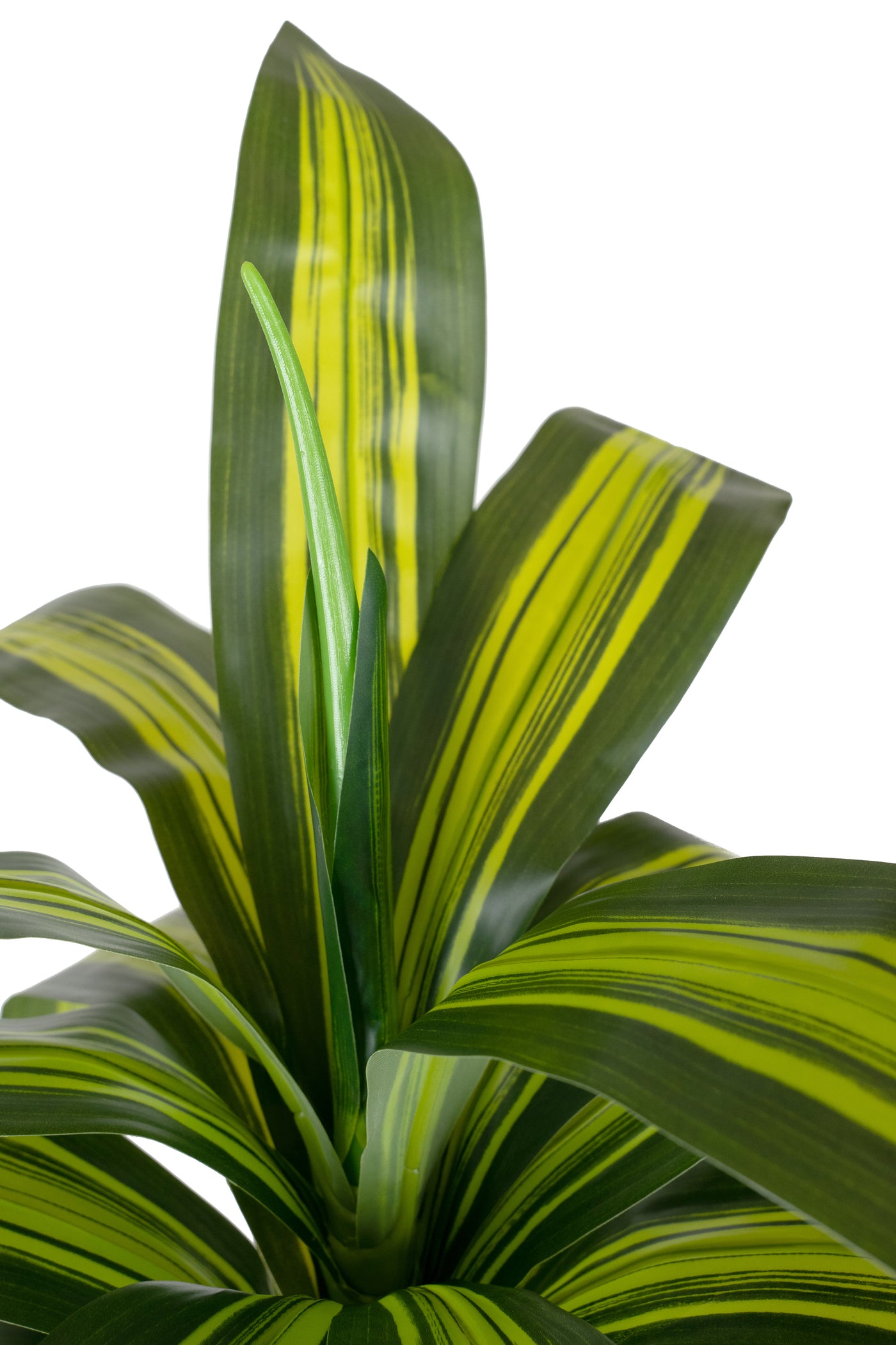 Dracaena artificiala cintho cu 97 frunze H150cm