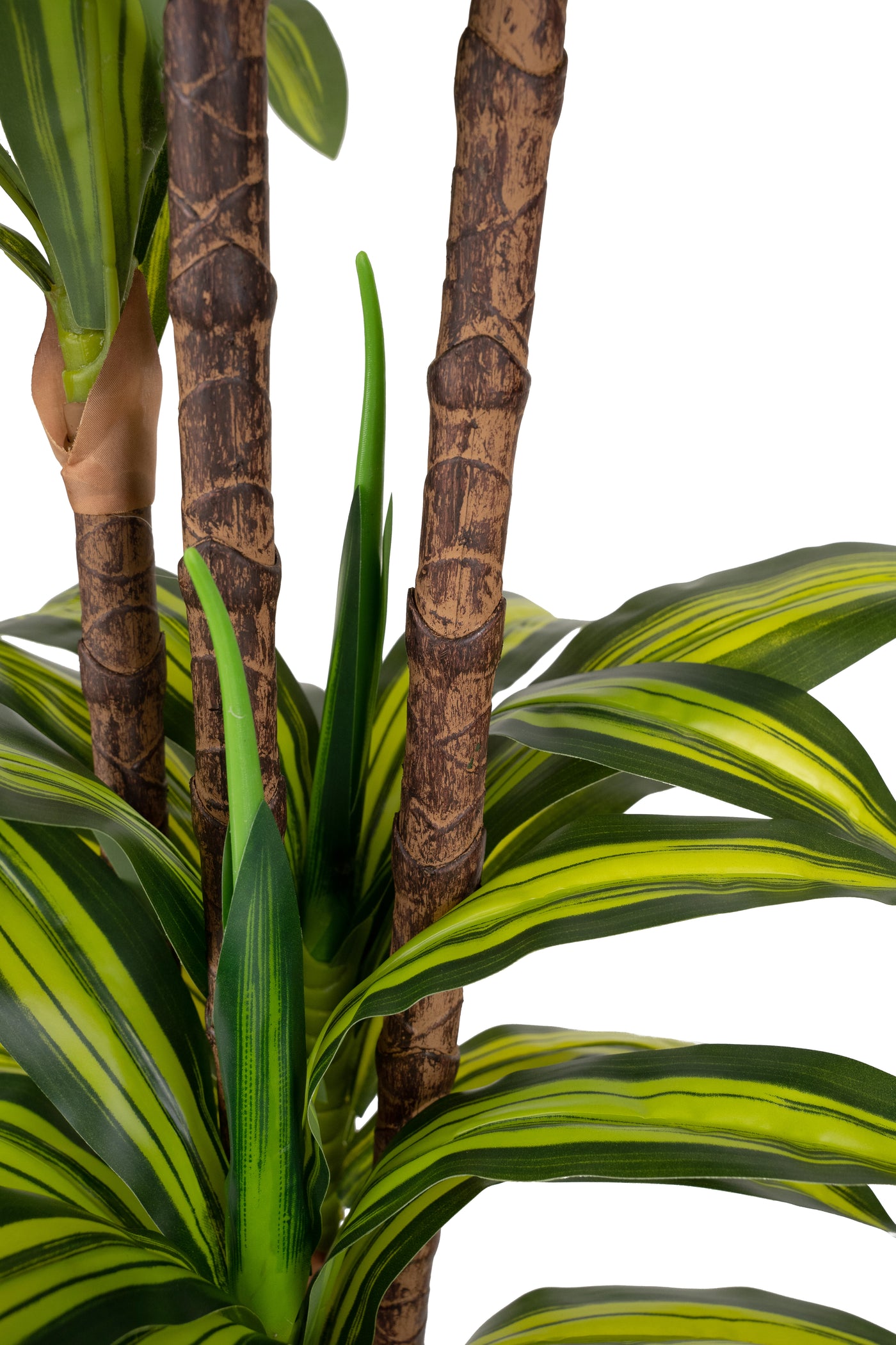 Dracaena artificiala cintho cu 97 frunze H150cm