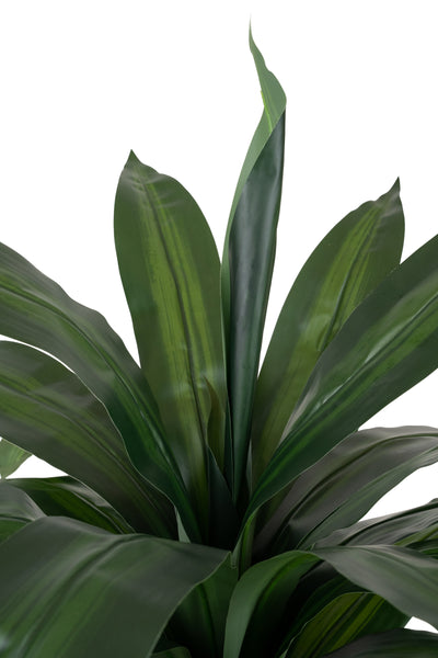 Dracaena artificiala fragrans cu 36 frunze H110 cm