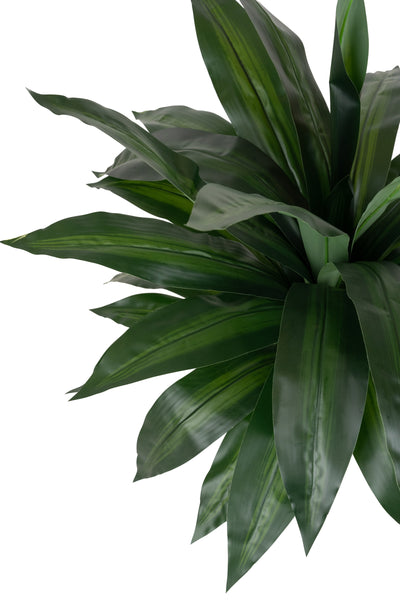 Dracaena artificiala fragrans cu 36 frunze H110 cm