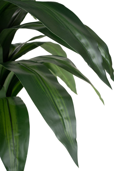 Dracaena artificiala fragrans cu 36 frunze H110 cm