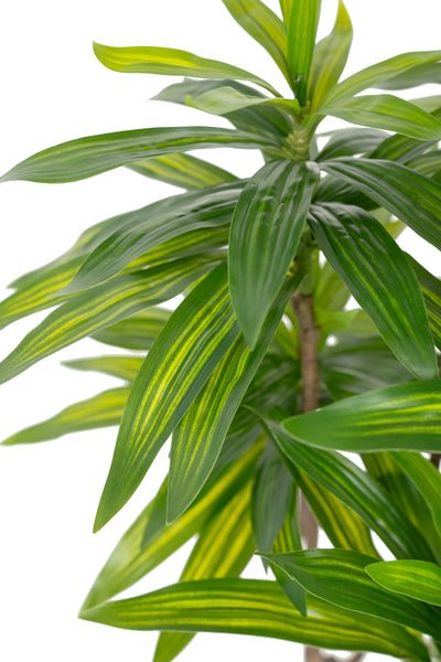 Dracaena artificiala H100cm fragrans cu frunze verzi