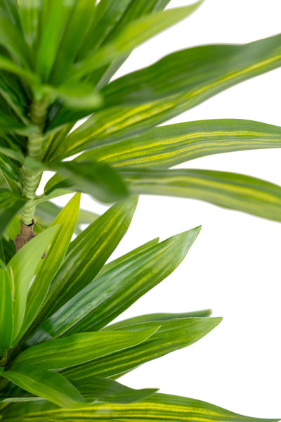 Dracaena artificiala H100cm fragrans cu frunze verzi