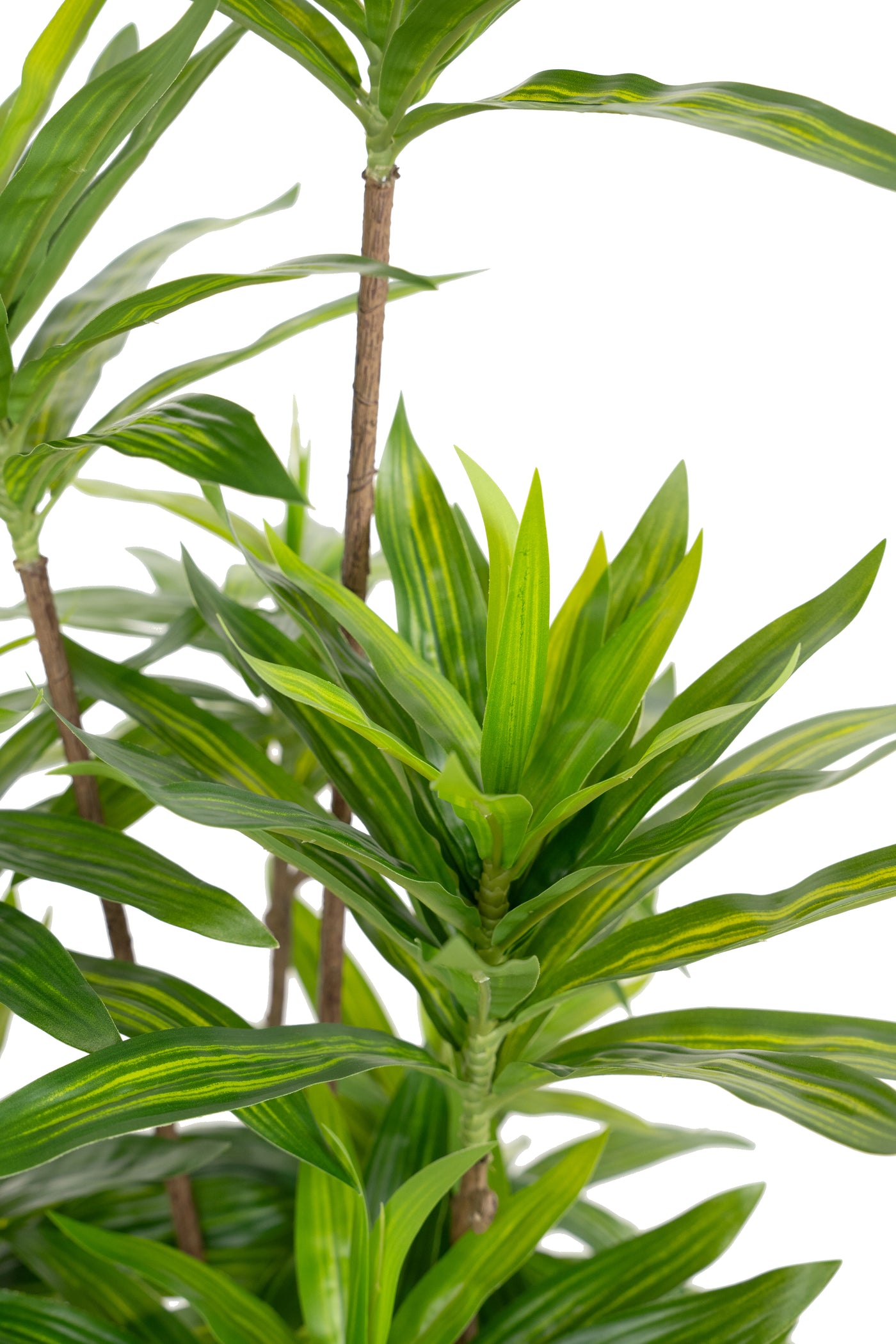 Dracaena artificiala H100cm fragrans cu frunze verzi