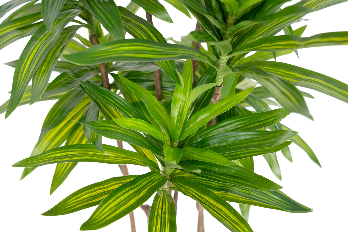 Dracaena artificiala H100cm fragrans cu frunze verzi