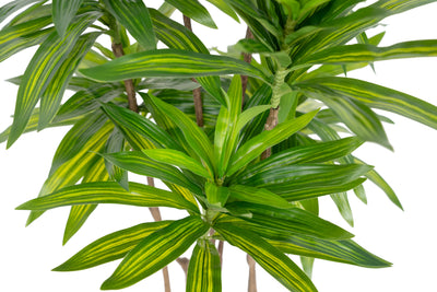 Dracaena artificiala H100cm fragrans cu frunze verzi