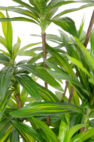 Dracaena artificiala H100cm fragrans cu frunze verzi