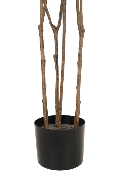 Dracaena artificiala H100cm fragrans cu frunze verzi