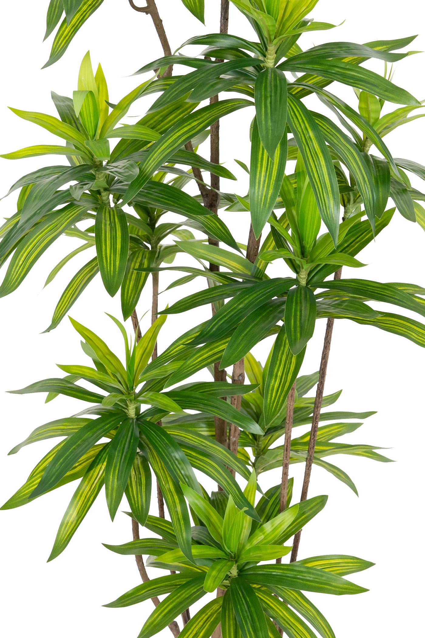 Dracaena artificiala H150cm fragrans cu frunze verzi