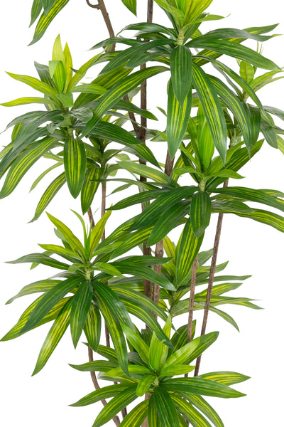 Dracaena artificiala H150cm fragrans cu frunze verzi
