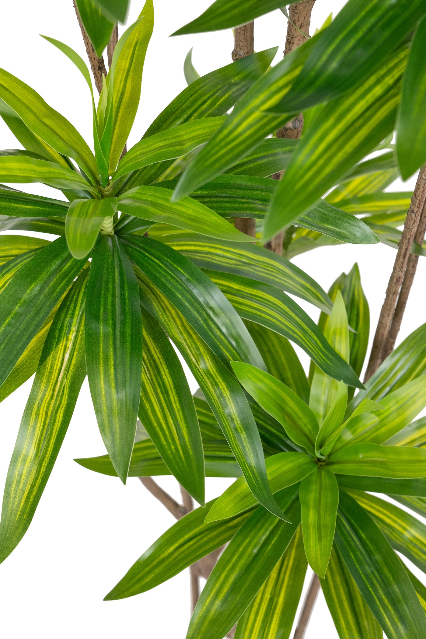Dracaena artificiala H150cm fragrans cu frunze verzi