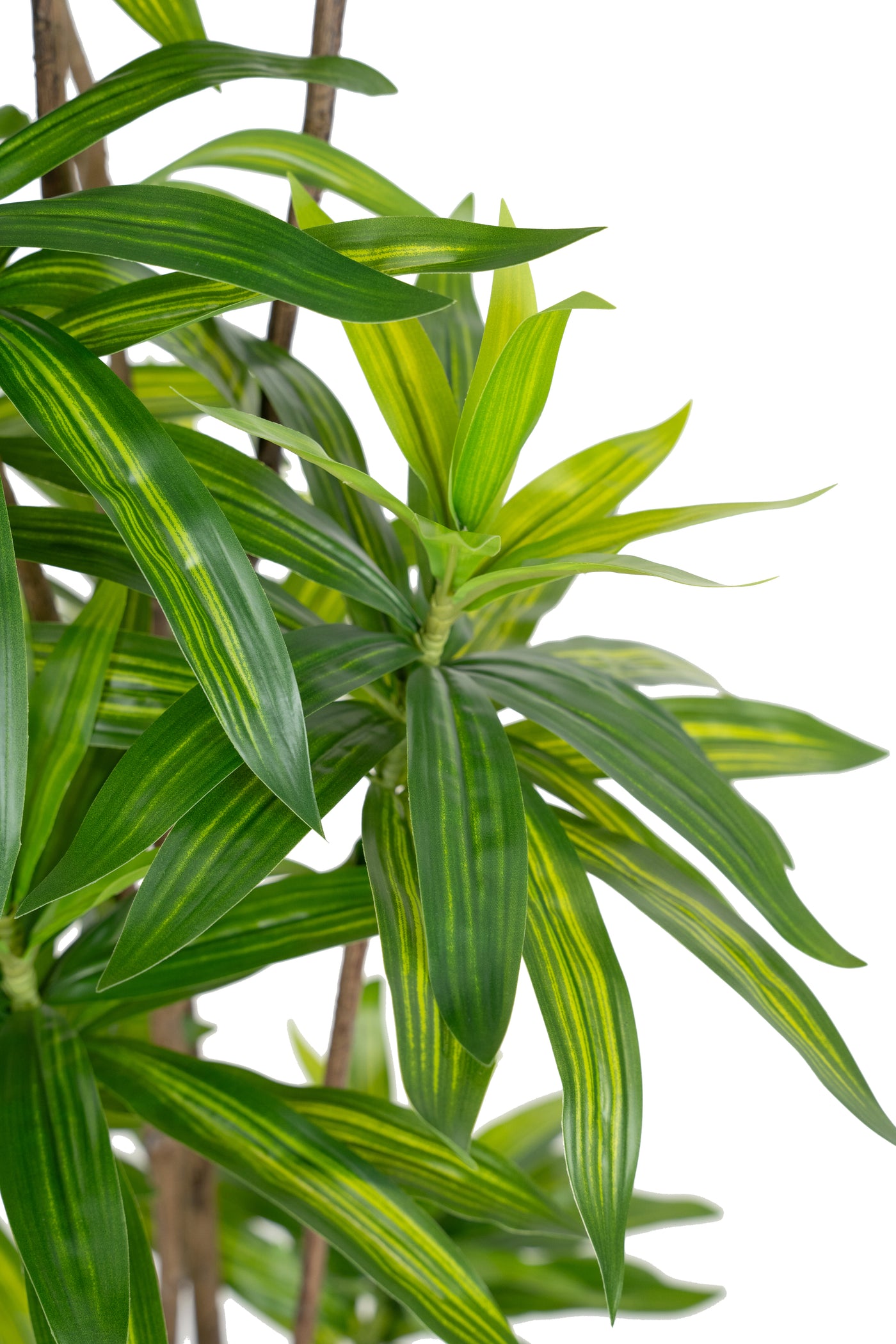 Dracaena artificiala H150cm fragrans cu frunze verzi