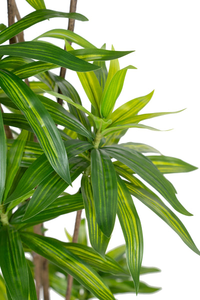 Dracaena artificiala H150cm fragrans cu frunze verzi