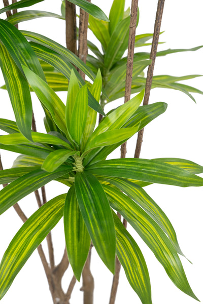 Dracaena artificiala H150cm fragrans cu frunze verzi