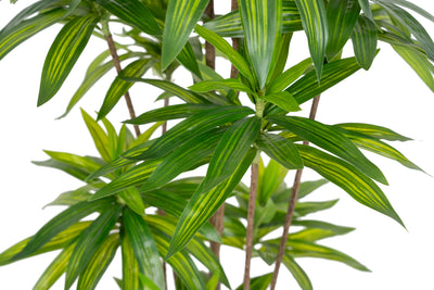 Dracaena artificiala H150cm fragrans cu frunze verzi