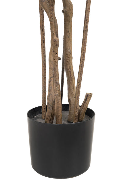 Dracaena artificiala H150cm fragrans cu frunze verzi