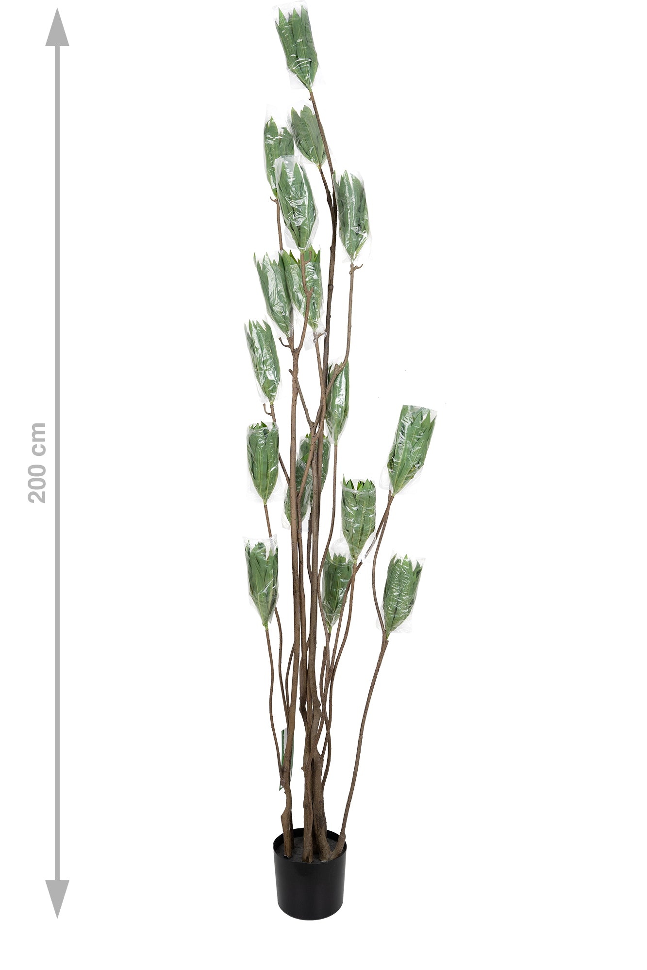 Dracaena artificiala H200cm fragrans cu frunze verzi