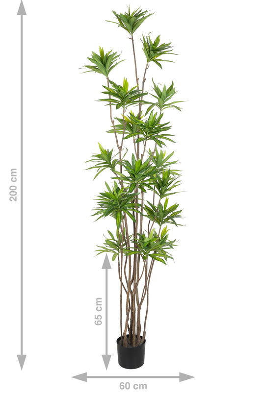 Dracaena artificiala H200cm fragrans cu frunze verzi