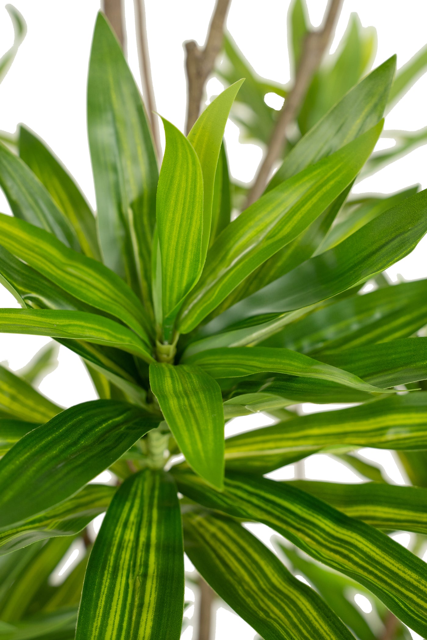 Dracaena artificiala H200cm fragrans cu frunze verzi