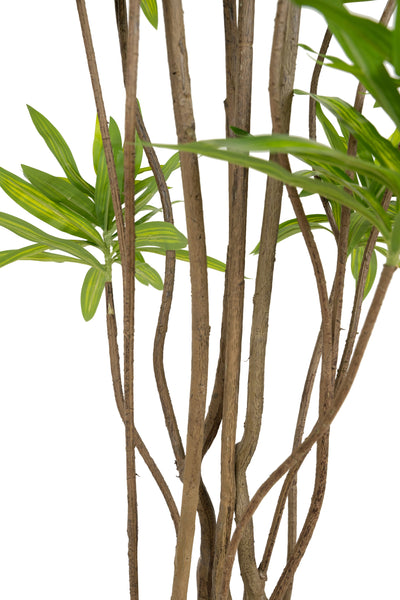 Dracaena artificiala H200cm fragrans cu frunze verzi