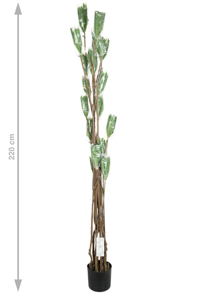 Dracaena artificiala H220cm fragrans cu frunze verzi