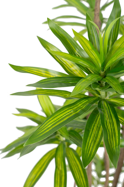 Dracaena artificiala H220cm fragrans cu frunze verzi