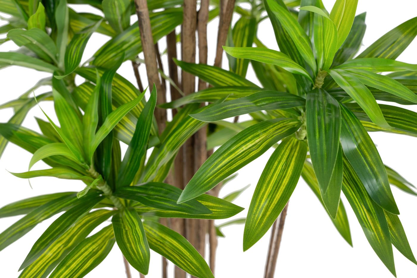 Dracaena artificiala H220cm fragrans cu frunze verzi