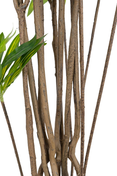 Dracaena artificiala H220cm fragrans cu frunze verzi