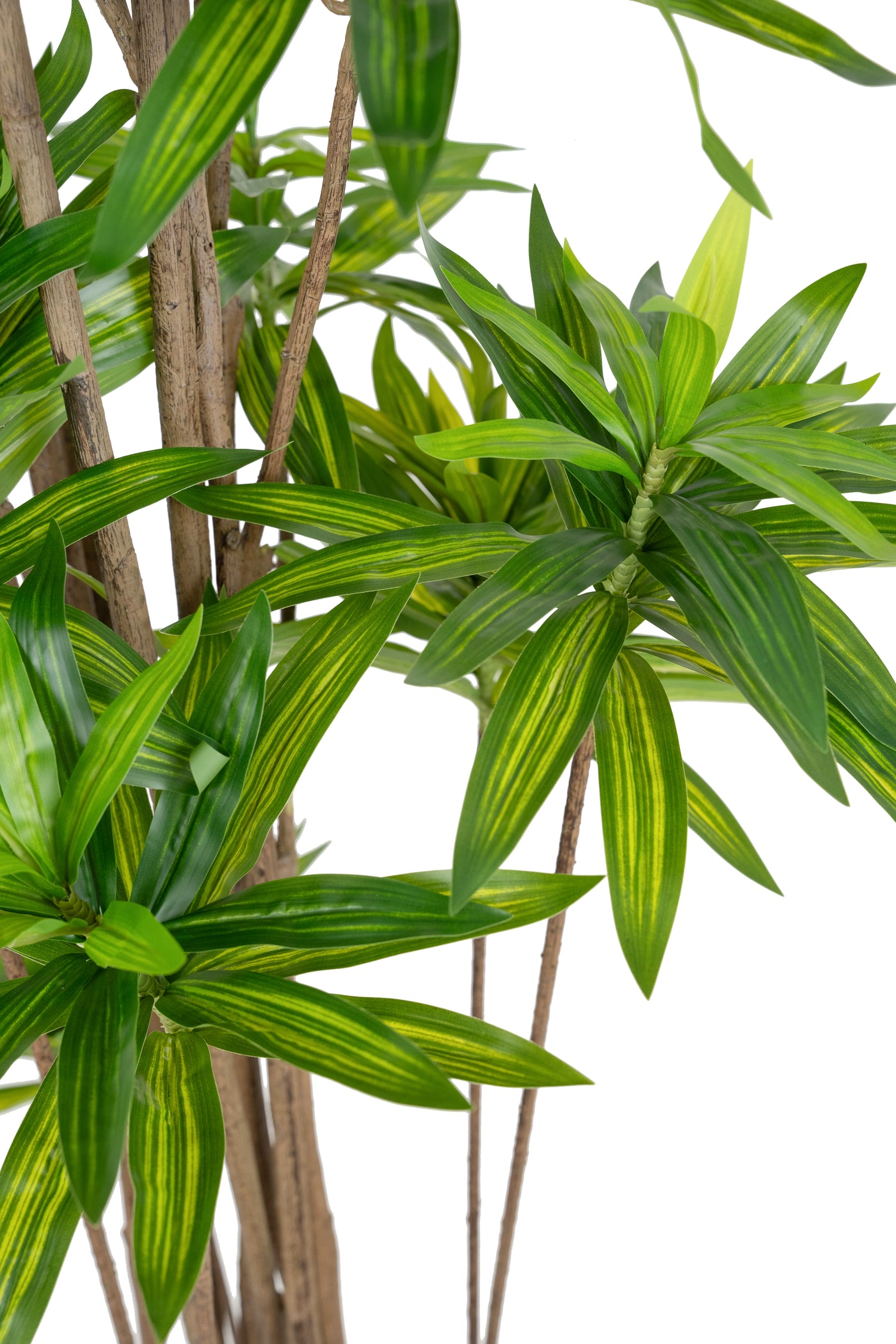 Dracaena artificiala H220cm fragrans cu frunze verzi
