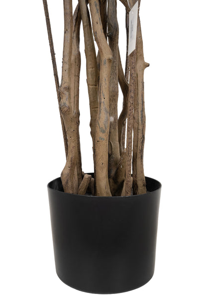 Dracaena artificiala H220cm fragrans cu frunze verzi