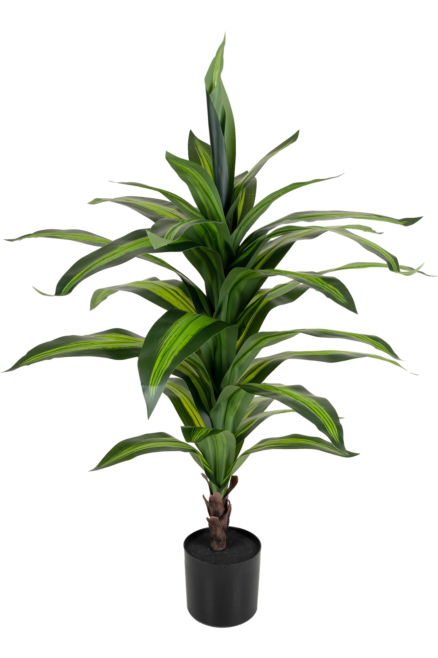 Dracaena artificiala janet craig cu 31 frunze verzi D80xH110cm