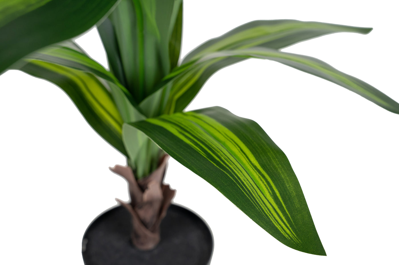 Dracaena artificiala janet craig cu 31 frunze verzi D80xH110cm