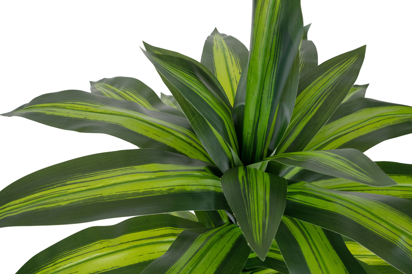 Dracaena artificiala janet craig cu 31 frunze verzi D80xH110cm