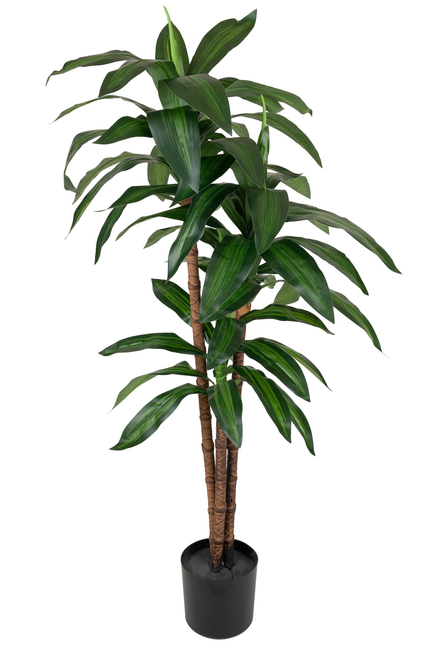 Dracaena artificiala Janet craig cu 54 frunze H120cm