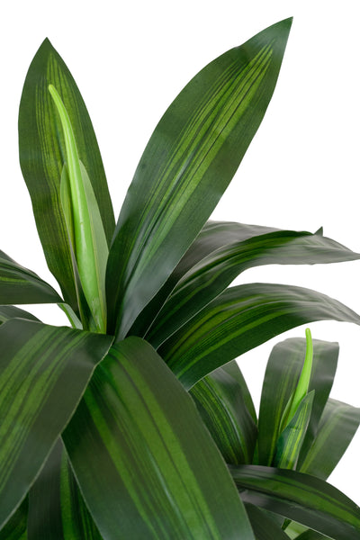 Dracaena artificiala Janet craig cu 54 frunze H120cm