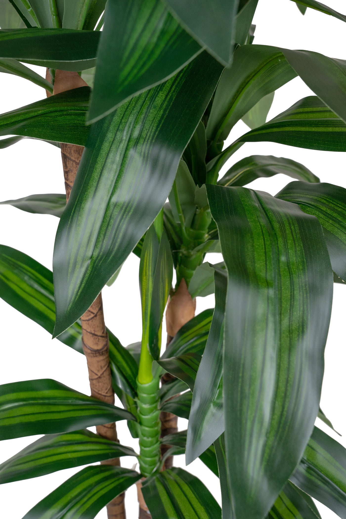 Dracaena artificiala Janet craig cu 54 frunze H120cm