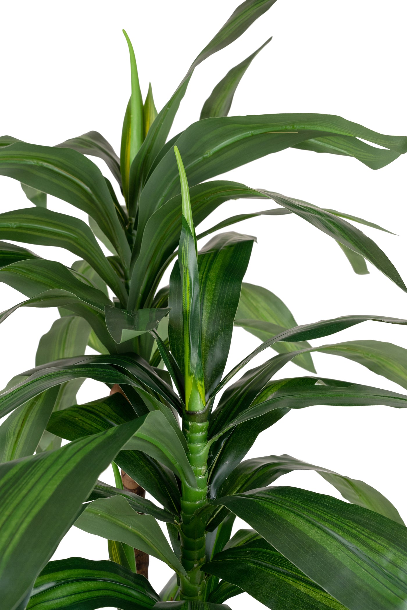 Dracaena artificiala Janet craig cu 54 frunze H120cm