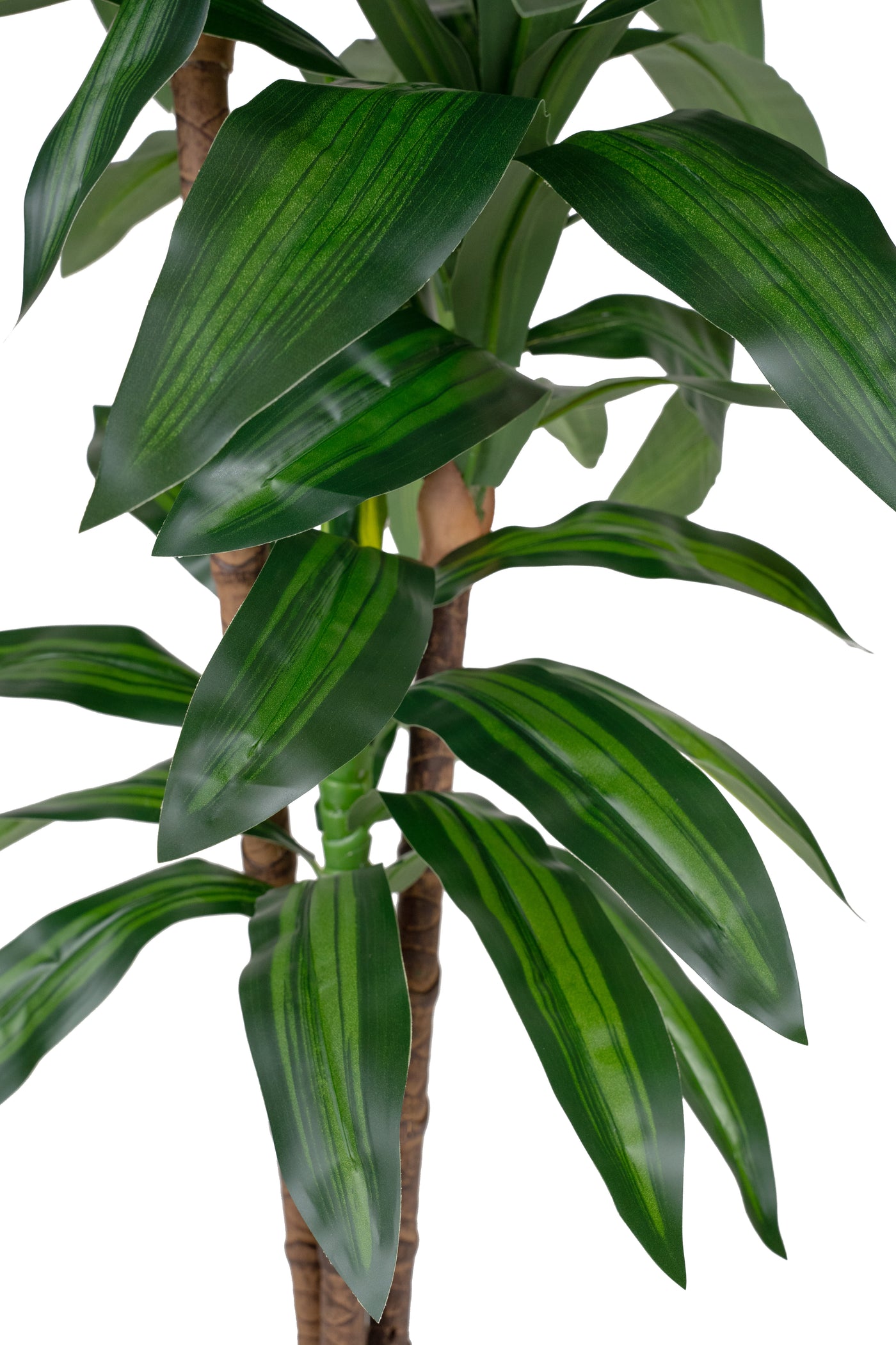 Dracaena artificiala Janet craig cu 54 frunze H120cm