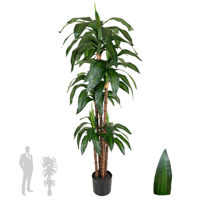 Dracaena artificiala Janet craig cu 97 frunze H150cm