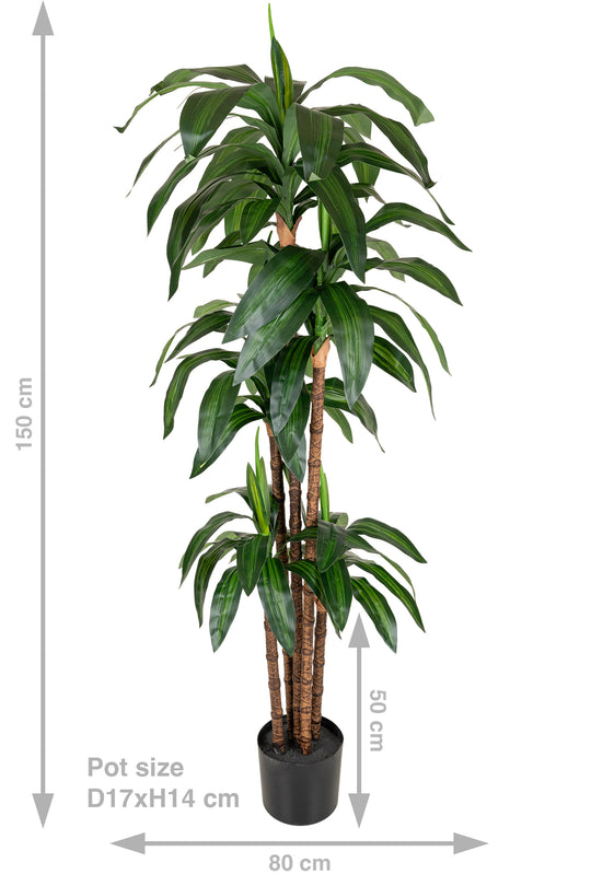 Dracaena artificiala Janet craig cu 97 frunze H150cm