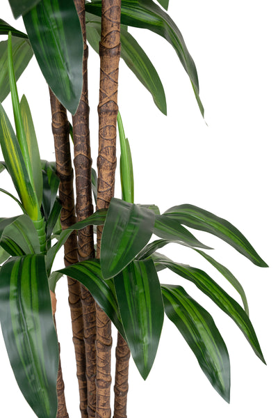 Dracaena artificiala Janet craig cu 97 frunze H150cm