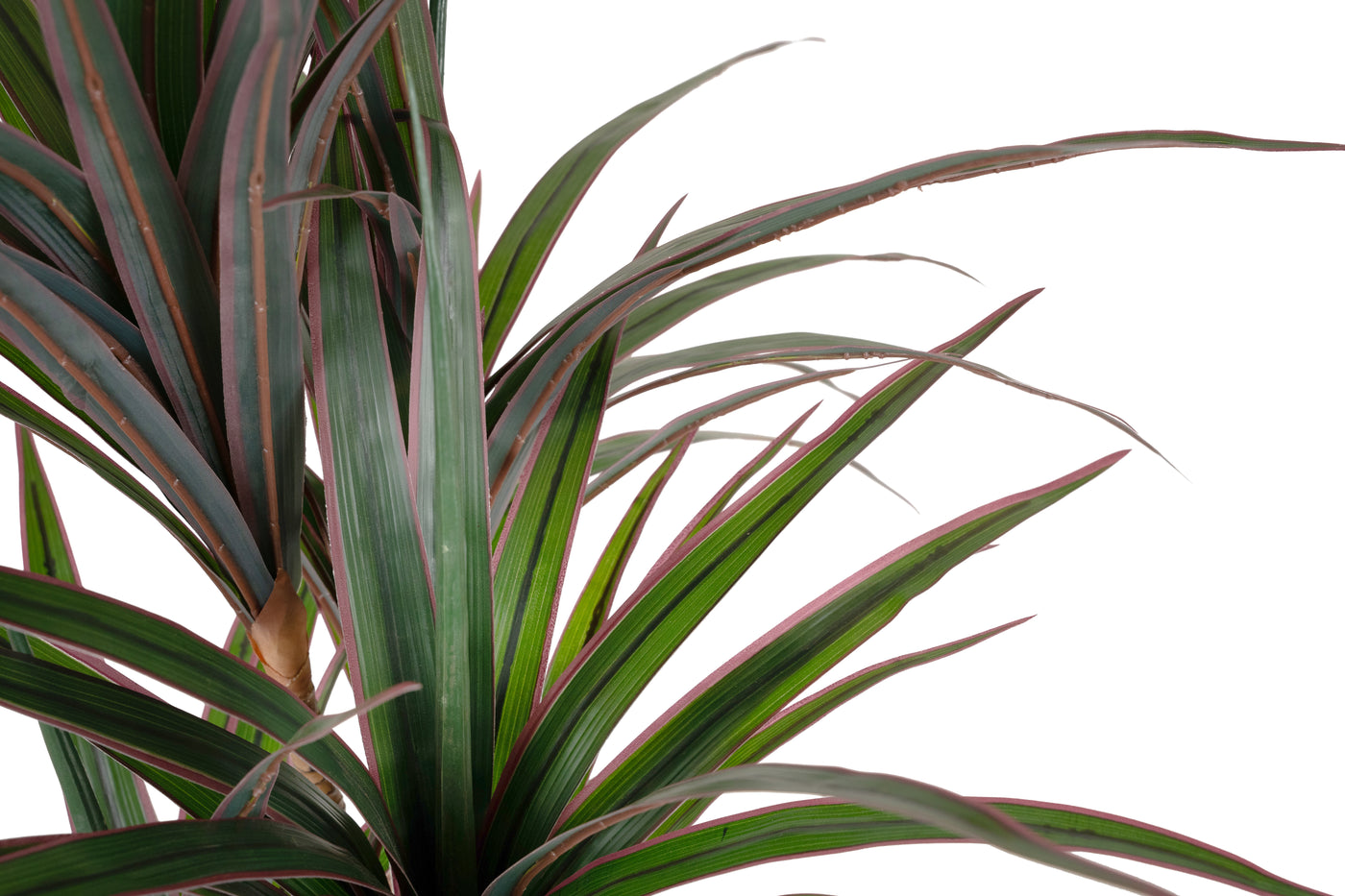 Dracaena artificiala marginata cu 110 frunze verde cu rosu H120 cm
