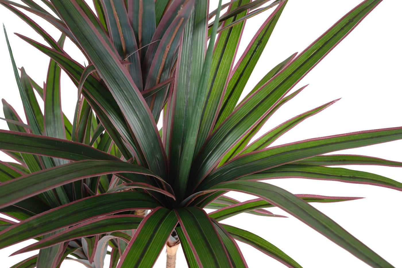 Dracaena artificiala marginata cu 110 frunze verde cu rosu H120 cm