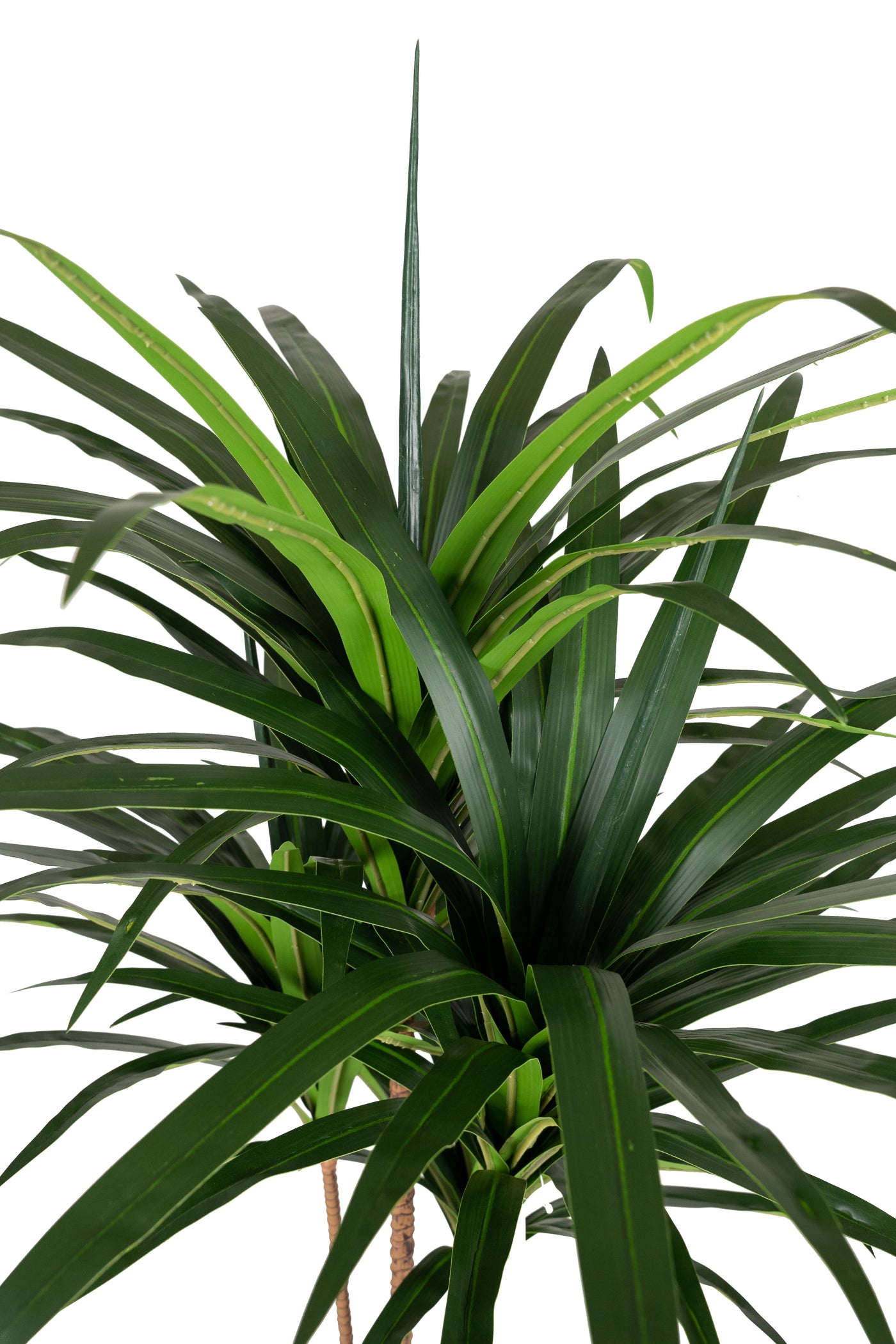 Dracaena artificiala marginata cu 110 frunze verzi H120 cm