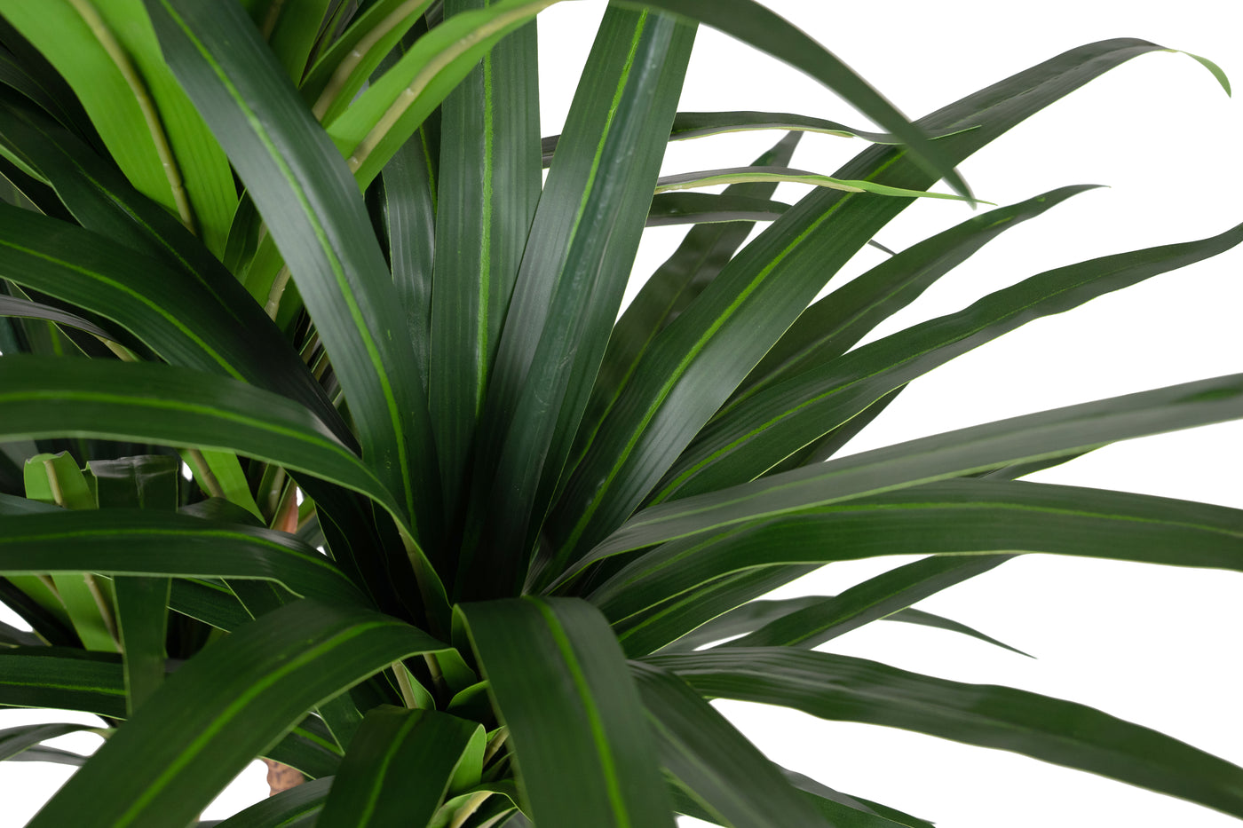 Dracaena artificiala marginata cu 110 frunze verzi H120 cm